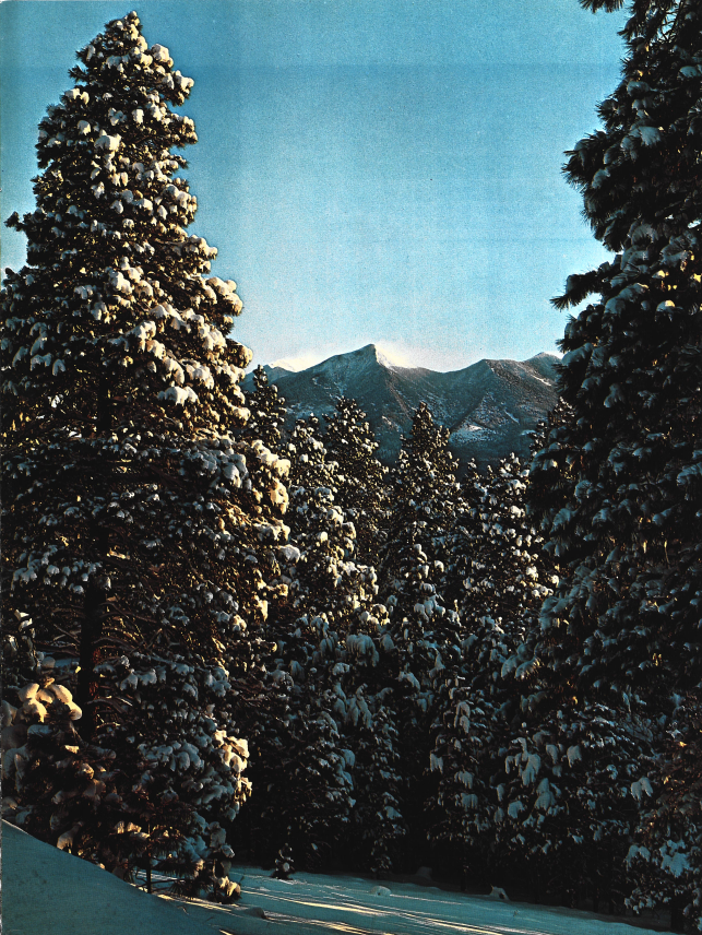 Unwrap Arizona Highways Magazine from December 1978 | Department